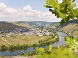 275 Jahre Weinbau an der Mosel